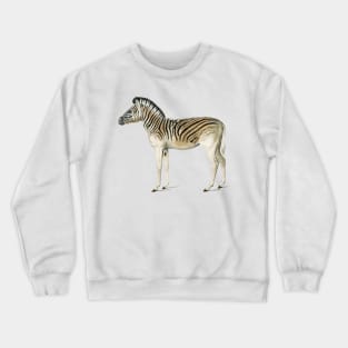 Vintage mountain zebra-animalia Crewneck Sweatshirt